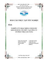 NGHIÊN cứu HOẠT ĐỘNG CHĂM sóc KHÁCH HÀNG tại CTY cổ PHẦN NHỰA đà NẴNG 