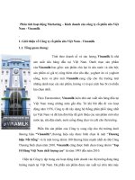 Phân tích hoạt động marketing – kinh doanh của công ty cổ phần sữa việt nam   vinamilk 