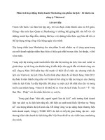 Phân tích hoạt động kinh doanh marketing sản phẩm du lịch – lữ hành của công ty viettravel