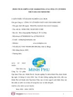 PHÂN TÍCH CHIẾN lược MARKETING của CÔNG TY cổ PHẦN THỦY hải sản MINH PHÚ 