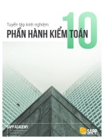 SAPP   tuyen tap 10 phan hanh kiem toan co ban