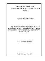 Ảnh hưởng của biến động lạm phát lên sự phân bổ nguồn cho vay của ngân hàng bằng chứng thực nghiệm tại một số ngân hàng châu á 