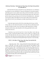 Chiến lược marketing – kinh doanh của tổng công ty bia  rượu nước giải khát hà Nội(HABECO) 