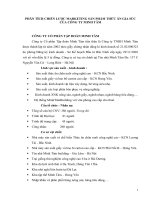 PHÂN TÍCH CHIẾN lược MARKETING sản PHẨM THỨC ăn GIA súc của CÔNG TY MINH tâm 