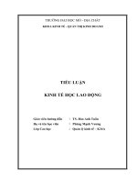 Tiểu luận Kinh tế học lao động: Phân tích các nhân tố ảnh hưởng đến cung lao động tại Việt Nam