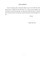 THỰC TRẠNG CHIẾN LƢỢC KINH DOANH CỦA CÔNG TY HÓA CHẤT PETROLIMEX._2