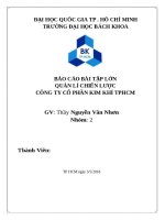 BÁO CÁO BÀI TẬP LỚN  QUẢN LÍ CHIẾN LƯỢC CÔNG TY CỔ PHẦN KIM KHÍ TPHCM