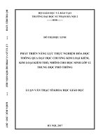 Phát triển năng lực thực nghiệm hóa học thông qua dạy học chương kim loại kiềm, kim loại kiềm thổ, nhôm cho học sinh lớp 12 trung học phổ thông_2