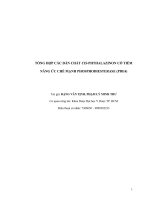 TỔNG hợp các dẫn CHẤT CIS PHTHALAZINON có TIỀM NĂNG ức CHẾ MẠNH PHOSPHODIESTERASE (PDE4)
