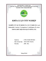 NGHIÊN CỨU SỰ ỔN ĐỊNH CỦA CÁC VI KHUẨN E. coli, Salmonella, S. aureus, P. aeruginosa, C. perfringens, B. cereus TRONG ĐIỀU KIỆN BẢO QUẢN ĐÔNG SÂU