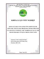 KHẢO SÁT KHẢ NĂNG SINH TỔNG HỢP ENZYME AMYLASE, CELLULASE, PROTEASE, LIPASE, PHYTASE CỦA BACILLUS SUBTILIS, THỬ NGHIỆM SẢN XUẤT CHẾ PHẨM SINH HỌC SỬ DỤNG TRONG CHĂN NUÔI