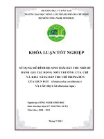SỬ DỤNG MÔ HÌNH HỆ SINH THÁI ĐẤT THU NHỎ ĐỂ ĐÁNH GIÁ TÁC ĐỘNG MÔI TRƢỜNG CỦA CHÌ VÀ KHẢ NĂNG HẤP THU CHÌ TRONG BÙN CỦA GIUN ĐẤT (Pontoscolex corethrurus) VÀ CÂY HỌ CẢI (Brassica rapa)
