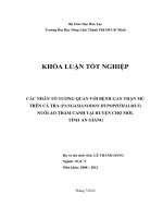 CÁC NHÂN TỐ TƯƠNG QUAN VỚI BỆNH GAN THẬN MỦ TRÊN CÁ TRA (PANGASIANODON HYPOPHTHALMUS) NUÔI AO THÂM CANH TẠI HUYỆN CHỢ MỚI, TỈNH AN GIANG