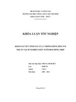 KHẢO SÁT SỨC SINH SẢN CỦA 3 NHÓM GIỐNG HEO NÁI THUẦN TẠI XÍ NGHIỆP CHĂN NUÔI HEO ĐỒNG HIỆP