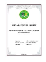 XÂY DỰNG QUY TRÌNH TẠO ETHANOL SINH HỌC TỪ THÂN CÂY NGÔ