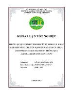 THIẾT LẬP QUI TRÌNH TÁI SINH CÂY IN VITRO VÀ KHẢO SÁT KHẢ NĂNG CHUYỂN NẠP GEN VÀO CÂY CÀ CHUA (LYCOPERSICON ESCULENTUM) THÔNG QUA AGROBACTERIUM TUMEFACIENS