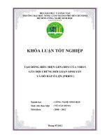 TẠO DÒNG BIỂU HIỆN GEN ORF6 CỦA VIRUS GÂY HỘI CHỨNG RỐI LOẠN SINH SẢN VÀ HÔ HẤP Ở LỢN (PRRSV)