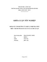KHẢO SÁT ẢNH HƯỞNG CỦA BỘT LÁ DIỆP HẠ CHÂU TRÊN THÀNH TÍCH SẢN XUẤT CỦA GÀ ĐẺ AI CẬP