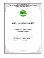 XÂY DỰNG QUY TRÌNH SẢN XUẤT ETHANOL TỪ BÃ MÌ