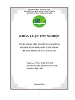 TUYỂN CHỌN MỘT SỐ CHỦNG XẠ KHUẨN CÓ KHẢ NĂNG PHÂN HỦY CELLULOSE ĐỂ ỨNG DỤNG XỬ LÝ VỎ CA CAO