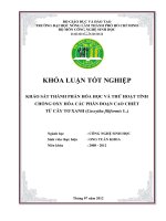 KHẢO SÁT THÀNH PHẦN HÓA HỌC VÀ THỬ HOẠT TÍNH CHỐNG OXY HÓA CÁC PHÂN ĐOẠN CAO CHIẾT TỪ CÂY TƠ XANH (Cassytha filiformis L.)