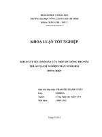 KHẢO SÁT SỨC SINH SẢN CỦA MỘT SỐ GIỐNG HEO NÁI THUẦN TẠI XÍ NGHIỆP CHĂN NUÔI HEO ĐỒNG HIỆP