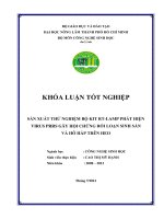 SẢN XUẤT THỬ NGHIỆM BỘ KIT RTLAMP PHÁT HIỆN VIRUS PRRS GÂY HỘI CHỨNG RỐI LOẠN SINH SẢN VÀ HÔ HẤP TRÊN HEO