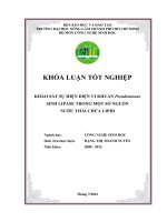 KHẢO SÁT SỰ HIỆN DIỆN VI KHUẨN Pseudomonas SINH LIPASE TRONG MỘT SỐ NGUỒN NƢỚC THẢI CHỨA LIPID