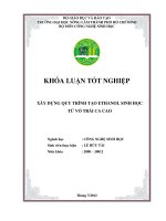 XÂY DỰNG QUY TRÌNH TẠO ETHANOL SINH HỌC TỪ VỎ TRÁI CA CAO Ngành