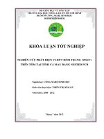 NGHIÊN CỨU PHÁT HIỆN VIRÚT ĐỐM TRẮNG (WSSV) TRÊN TÔM TẠI TỈNH CÀ MAU BẰNG NESTED PCR