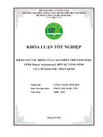 KHẢO SÁT TÁC ĐỘNG CỦA CAO CHIẾT THÔ SÂM NGỌC LINH (Panax vietnamensis) ĐẾN SỰ TĂNG SINH CỦA TẾ BÀO GỐC THẦN KINH