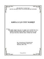 TÌM HIỂU HIỆN TRẠNG VÀ HIỆU QUẢ KINH TẾ CỦA NGHỀ NUÔI RẮN RÁO TRÂU (Ptyas mucosus) TẠI HUYỆN DƯƠNG MINH CHÂU TỈNH TÂY NINH