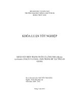 KHẢO SÁT HIỆN TRẠNG NUÔI CÁ LĂNG NHA (Mystus wyckioides CHAUX VÀ FANG, 1949) TRONG BÈ TẠI TỈNH AN GIANG