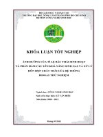 ẢNH HƢỞNG CỦA TỈ LỆ RÁC THẢI SINH HOẠT VÀ PHÂN HẦM CẦU LÊN KHẢ NĂNG SINH GAS VÀ XỬ LÝ HỖN HỢP CHẤT THẢI CỦA HỆ THỐNG BIOGAS THỬ NGHIỆM