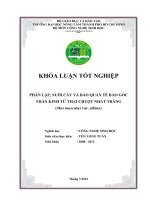 PHÂN LẬP, NUÔI CẤY VÀ BẢO QUẢN TẾ BÀO GỐC THẦN KINH TỪ THAI CHUỘT NHẮT TRẮNG (Mus musculus var. albino)