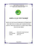 PHÂN LẬP NẤM COLLECTOTRICHUM GÂY BỆNH THÁN THƯ TRÊN XOÀI CÁT HÒA LỘC VÀ KHẢO SÁT KHẢ NĂNG ỨC CHẾ LOẠI NẤM NÀY CỦA HOẠT CHẤT CHIẾT XUẤT TỪ HẠT NEEM