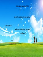 Kiểm toán hoạt động kiểm soát ô nhiễm nước