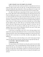 tieu luận NO CONG VIET NAM