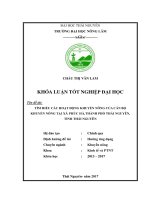 Tìm hiểu các hoạt động khuyến nông của cán bộ khuyến nông tại xã Phúc Hà  thành phố Thái Nguyên  tỉnh Thái Nguyên (Khóa luận tốt nghiệp)