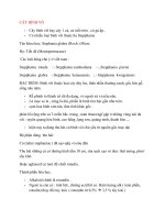 ÔN THI MÔN LÝ THUYẾT TỔNG HỢP ĐẠI HỌC THÀNH ĐÔ KHOA Y DƯỢC