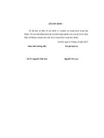 Các yếu tố ảnh hưởng đến sức mạnh thương hiệu trong nội bộ các ngân hàng thương mại việt nam 