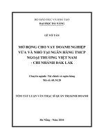 Mở rộng cho vay doanh nghiệp nhỏ và vừa tại ngân hàng TMCP ngoại thương việt nam – chi nhánh đắk lắk (tt) 