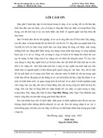 Trường đào tạo nghề tỉnh gia lai(2015) ( Đồ án tốt nghiệp Xây Dựng)