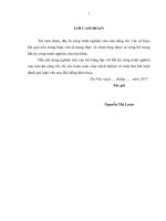 Nghiên cứu một số đặc điểm sinh học và kỹ thuật nhân giống loài cây mạy chả (pseudosasa amabilis) tại huyện điện biên   tỉnh điện biên 