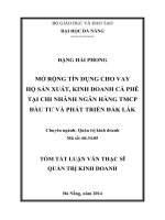 Mở rộng tín dụng cho vay hộ sản xuất, kinh doanh cà phê tại chi nhánh ngân hàng TMCP ðầu tư và phát triển đắk lắk (tt) 