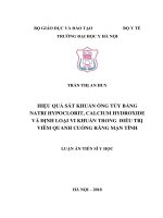 Hiệu quả sát khuẩn ống tủy bằng natri hypoclorit, calcium hydroxide và định loại vi khuẩn trong điều trị viêm quanh cuống răng mạn tính (FULL TEXT)