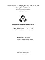 Công nghệ sản xuất rượu vang có gas và các sản phẩm 