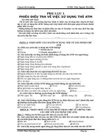 phu luc giải pháp phát triển dịch vụ thẻ ATM tại chi nhánh ngân hàng đầu tư và phát triển nghệ an