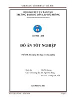 Chung cư tái định cư   hà nội(2016) ( Đồ án tốt nghiệp Xây Dựng)