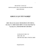 ĐIỀU TRA SỰ ĐA DẠNG THÀNH PHẦN CÔN TRÙNG, SÂU HẠI VÀ THIÊN ĐỊCH TRÊN CÂY RAU HỌ THẬP TỰ TẠI QUẬN 12, THÀNH PHỐ HỒ CHÍ MINH